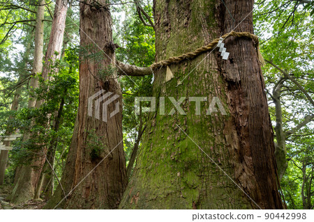 [Ishikawa Prefecture] Hakusan Hime Shrine 90442998