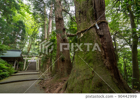 [Ishikawa Prefecture] Hakusan Hime Shrine 90442999