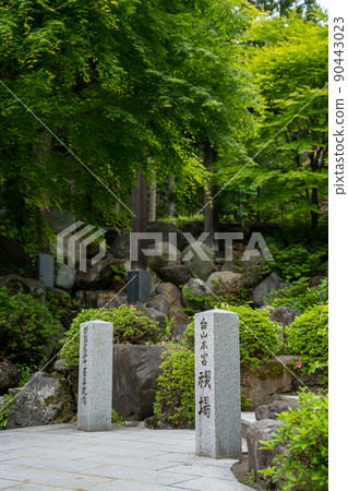 [Ishikawa Prefecture] Hakusan Hime Shrine 90443023