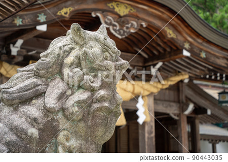 [Ishikawa Prefecture] Hakusan Hime Shrine 90443035