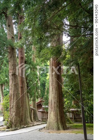[Ishikawa Prefecture] Hakusan Hime Shrine 90443040