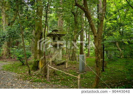 [Ishikawa Prefecture] Hakusan Hime Shrine 90443048