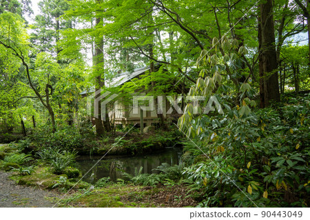 [Ishikawa Prefecture] Hakusan Hime Shrine 90443049