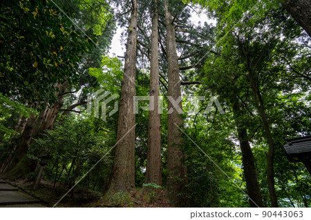 [石川縣]白山姬神社 90443063