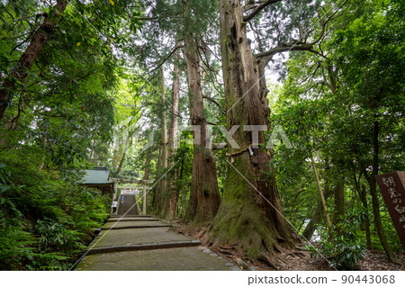 [Ishikawa Prefecture] Hakusan Hime Shrine 90443068