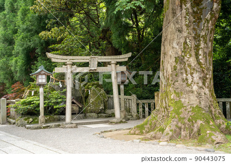[Ishikawa Prefecture] Hakusan Hime Shrine 90443075