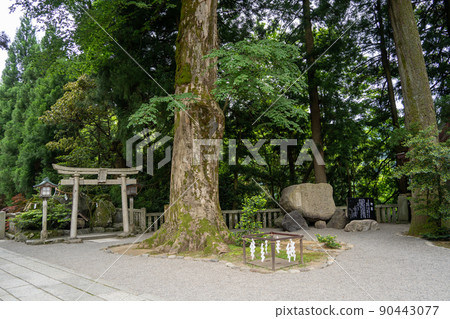 [Ishikawa Prefecture] Hakusan Hime Shrine 90443077