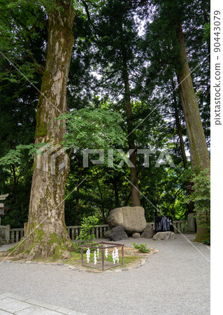 [石川縣]白山姬神社 90443079