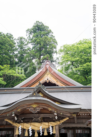 [Ishikawa Prefecture] Hakusan Hime Shrine 90443089