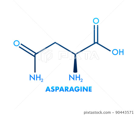 Molecular biology. Asparagine L-asparagine , Asn, N amino acid molecule. Vector illustration 90443571