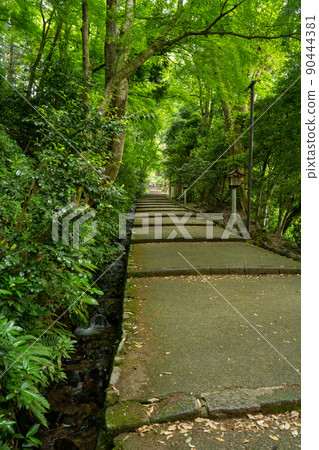 [Ishikawa Prefecture] Hakusan Hime Shrine 90444381