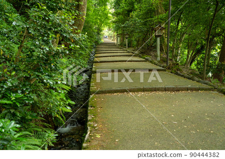 [Ishikawa Prefecture] Hakusan Hime Shrine 90444382
