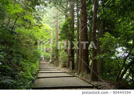 [Ishikawa Prefecture] Hakusan Hime Shrine 90444394