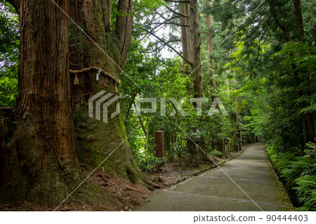 [Ishikawa Prefecture] Hakusan Hime Shrine 90444403