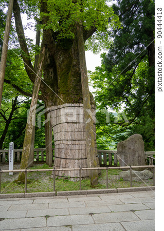 [石川縣]白山姬神社 90444418