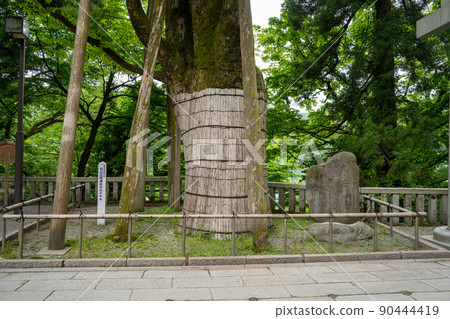 [Ishikawa Prefecture] Hakusan Hime Shrine 90444419
