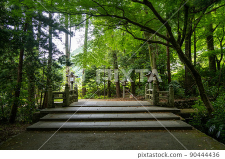 [Ishikawa Prefecture] Hakusan Hime Shrine 90444436