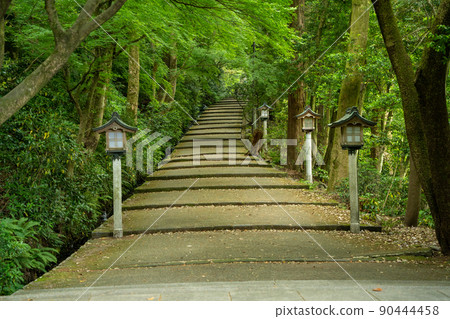 [石川縣]白山姬神社 90444458