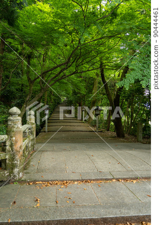 [Ishikawa Prefecture] Hakusan Hime Shrine 90444461