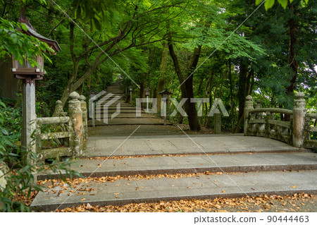 [Ishikawa Prefecture] Hakusan Hime Shrine 90444463