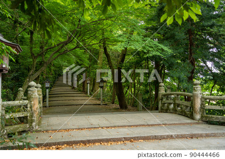 [Ishikawa Prefecture] Hakusan Hime Shrine 90444466