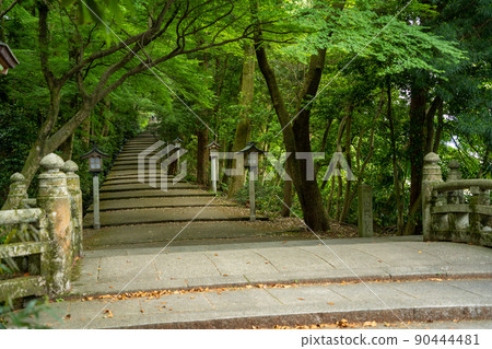 [Ishikawa Prefecture] Hakusan Hime Shrine 90444481