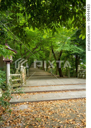 [Ishikawa Prefecture] Hakusan Hime Shrine 90444483