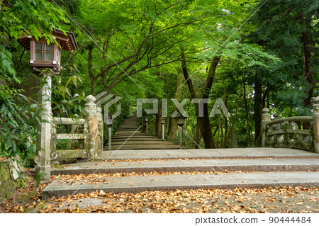 [石川縣]白山姬神社 90444484