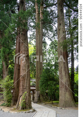 [石川縣]白山姬神社 90444504
