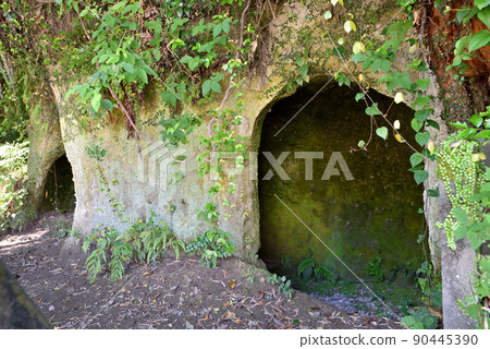 鹿兒島市城山市西鄉隆盛洞窟 鹿兒島市城山市西鄉隆盛洞窟 90445390