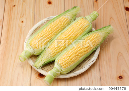 玉米 90445576