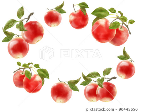 Frame material for apples with leaves on the branches 90445650
