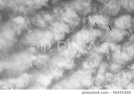天空雲鳥 天空雲鳥 90445880