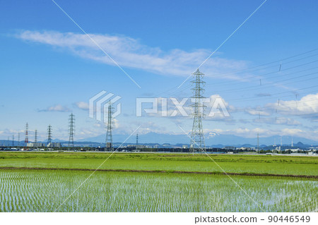 Steel tower paddy power transmission line Steel tower paddy power transmission line 90446549