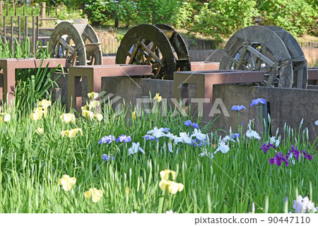Iris field facility Iris field facility 90447110