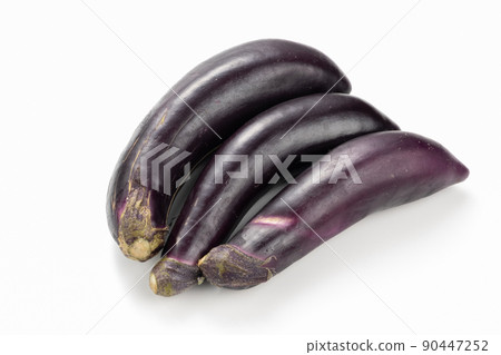 Eggplant eggplant 90447252
