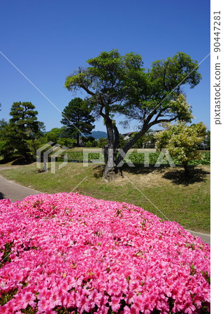 岡山縣津山市漫步的日本庭園“Shurakuen”:初夏的風景 岡山縣津山市漫步的日本庭園“Shurakuen”:初夏的風景 90447281