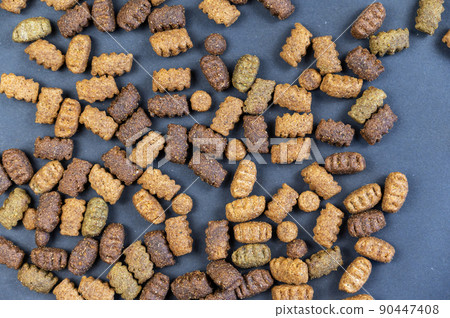 Dry dog food against a gray background. Oval-shaped pellets lie randomly on the surface. The pellets are brown, beige, and green. Flatlay. Dry dog food against a gray background. Oval-shaped pellets lie randomly on the surface. The pellets are brown, beige, and green. Flatlay. 90447408