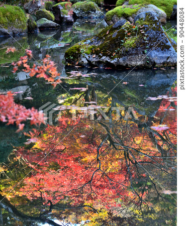 Autumn leaves reflected in a pond 90448084