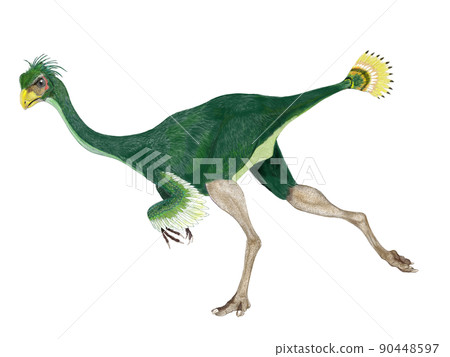 Avimimus As the scientific name "Bird Modoki", Maniraptora in a form similar to a bird 90448597