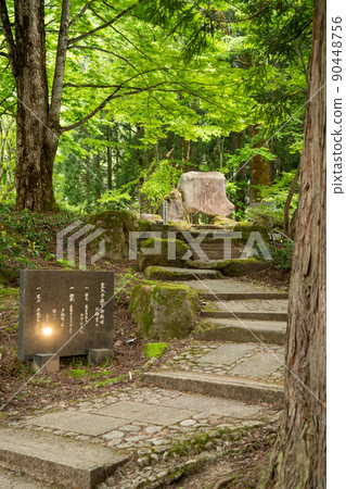[富山縣] Echinaka Gokayama Ainokura Gassho-zukuri Village 90448756