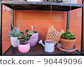 gardening home. Girl replanting green pasture in home garden.indoor garden,room with plants banner Potted green plants at home, home jungle,Garden room gardening, Plant room, Floral decor. 90449096