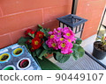 gardening home. Girl replanting green pasture in home garden.indoor garden,room with plants banner Potted green plants at home, home jungle,Garden room gardening, Plant room, Floral decor. 90449107