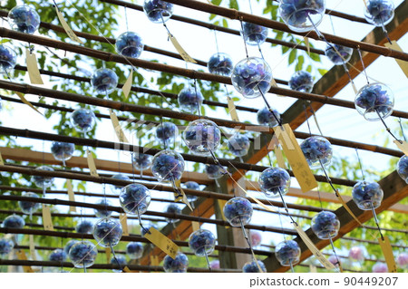 Shojuin的風鈴節（俗稱風鈴寺）[京都府宇治田原町] 90449207