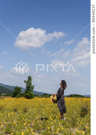 A woman is standing in a field in which yellow ginseng flowers bloom on a sunny day with good clouds A woman is standing in a field in which yellow ginseng flowers bloom on a sunny day with good clouds 90449237