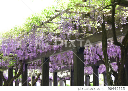 Toba no Fuji noda fuji 90449315