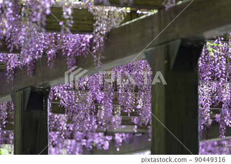 Toba no Fuji noda fuji Toba no Fuji noda fuji 90449316