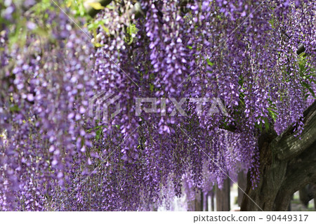 Toba no Fuji noda fuji 90449317