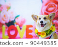 Rose flowers and corgi 90449385