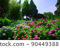 hydrangea flower 90449388
